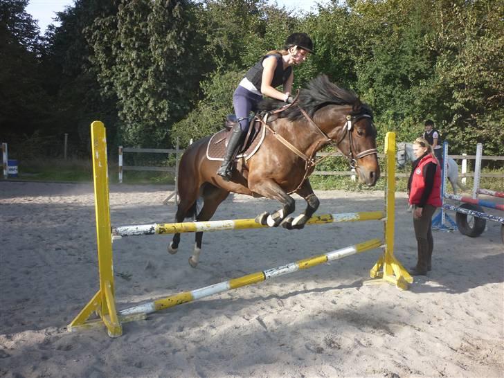 Springundervisning på Gøngehusfarmen d. 17/9 2009 billede 8