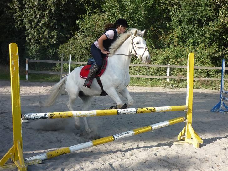 Springundervisning på Gøngehusfarmen d. 17/9 2009 billede 9