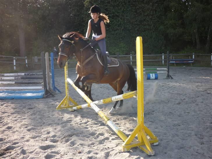 Springundervisning på Gøngehusfarmen d. 17/9 2009 billede 10