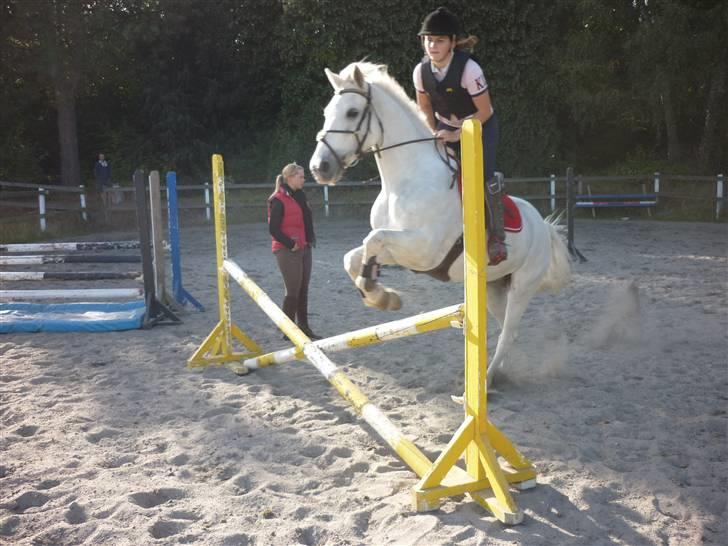 Springundervisning på Gøngehusfarmen d. 17/9 2009 billede 11