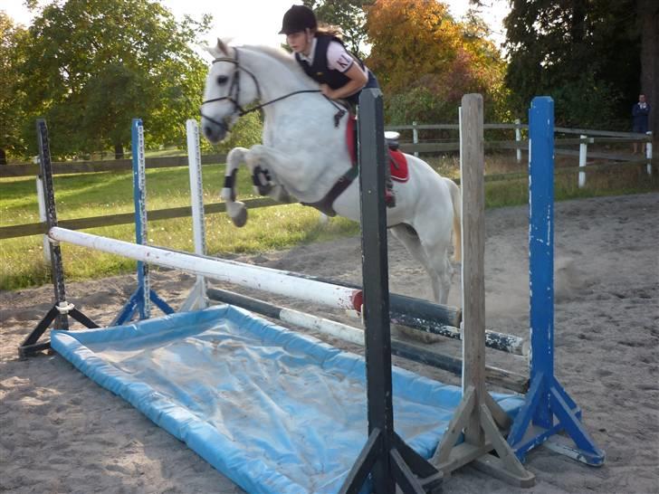 Springundervisning på Gøngehusfarmen d. 17/9 2009 billede 13