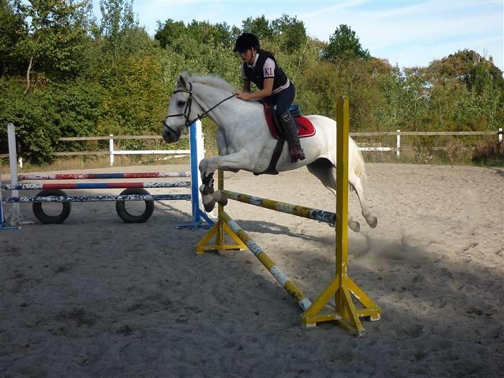 Springundervisning på Gøngehusfarmen d. 17/9 2009 billede 14