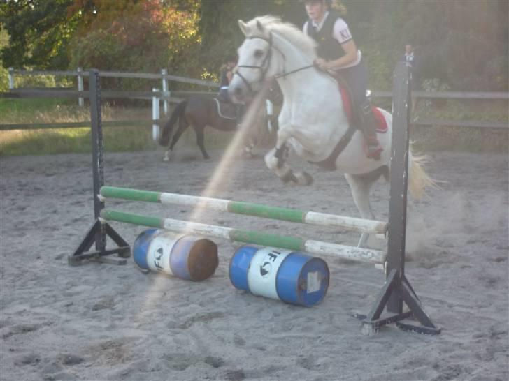 Springundervisning på Gøngehusfarmen d. 17/9 2009 billede 17