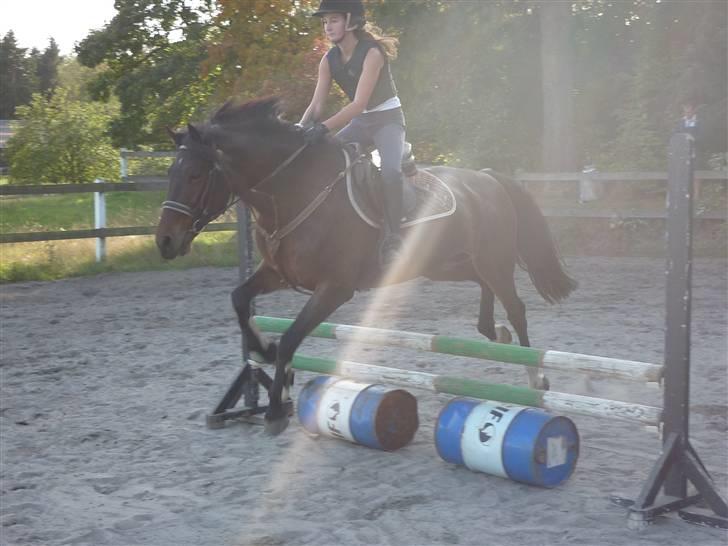 Springundervisning på Gøngehusfarmen d. 17/9 2009 billede 18