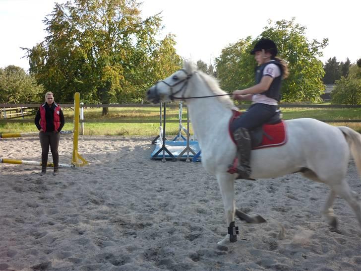 Springundervisning på Gøngehusfarmen d. 17/9 2009 billede 19