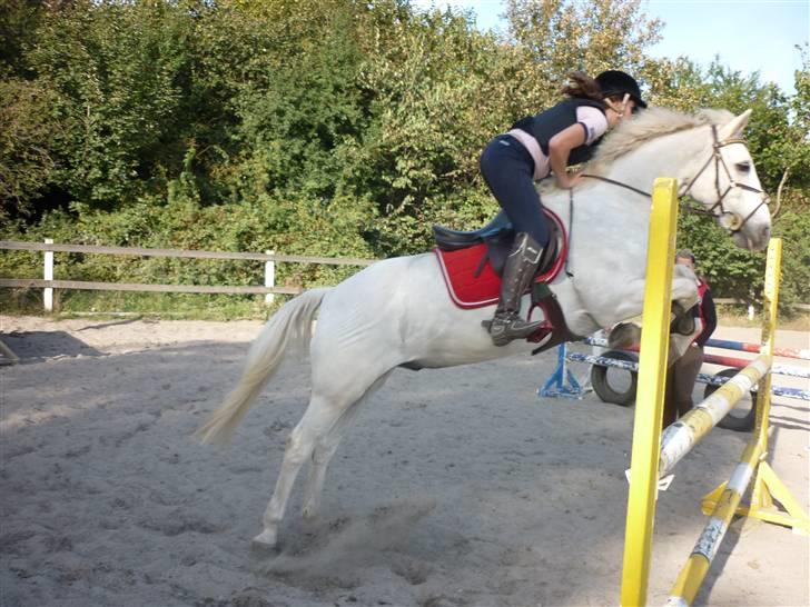 Springundervisning på Gøngehusfarmen d. 17/9 2009 billede 20