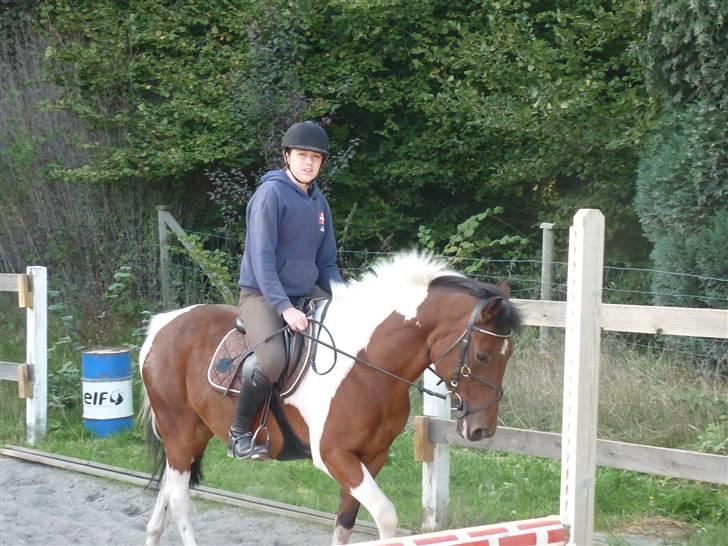 Springundervisning på Gøngehusfarmen d. 17/9 2009 billede 23