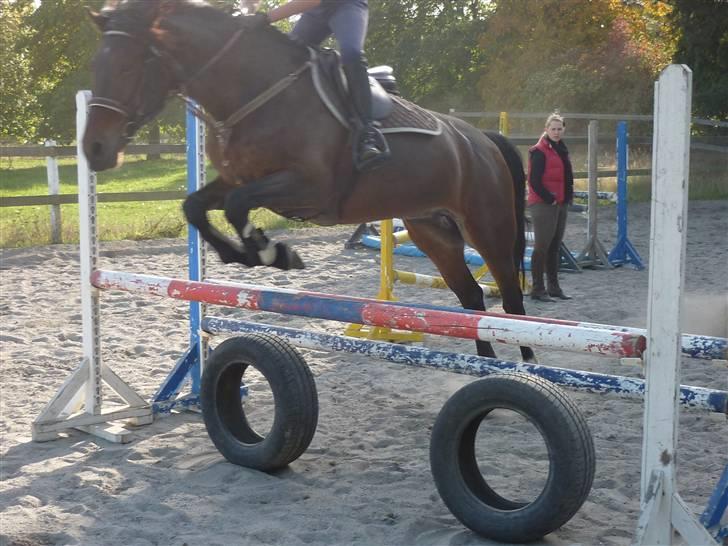 Springundervisning på Gøngehusfarmen d. 17/9 2009 billede 27