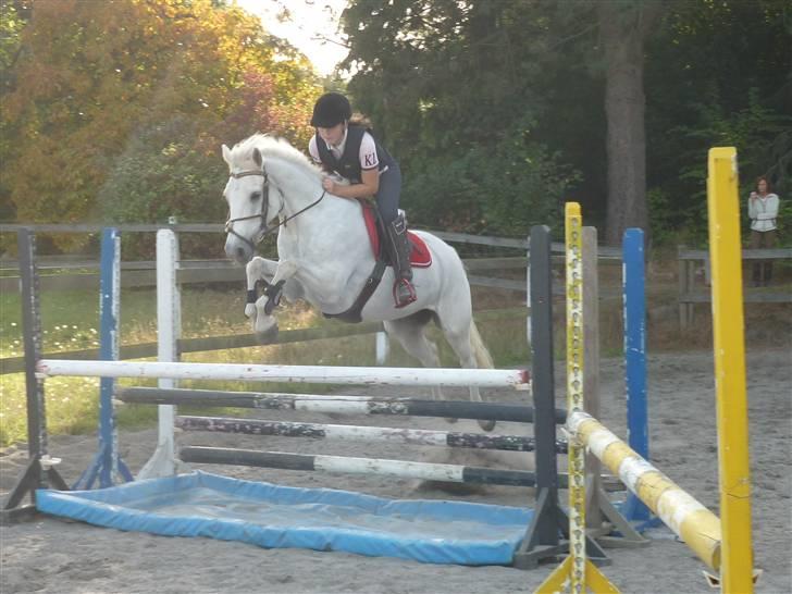 Springundervisning på Gøngehusfarmen d. 17/9 2009 billede 29