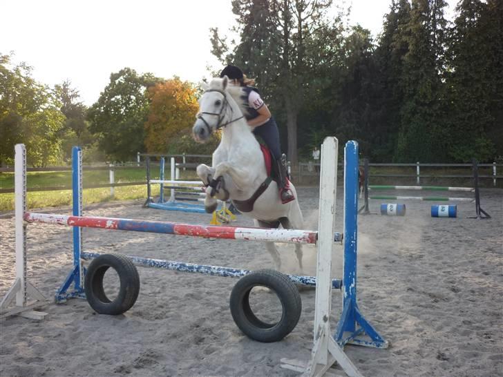 Springundervisning på Gøngehusfarmen d. 17/9 2009 billede 30