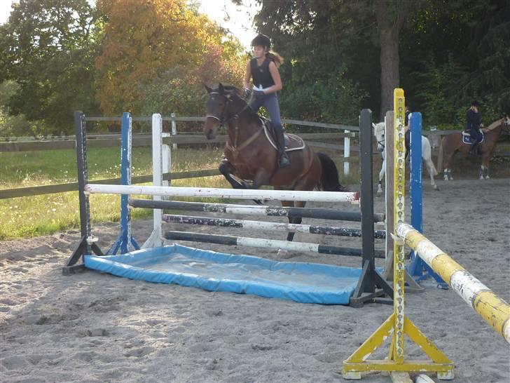 Springundervisning på Gøngehusfarmen d. 17/9 2009 billede 33