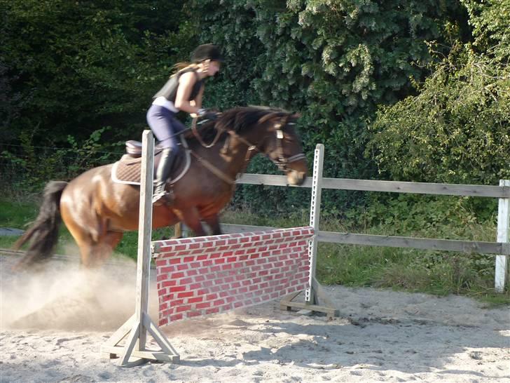 Springundervisning på Gøngehusfarmen d. 17/9 2009 billede 34