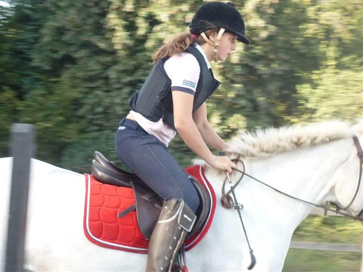 Springundervisning på Gøngehusfarmen d. 17/9 2009 billede 36