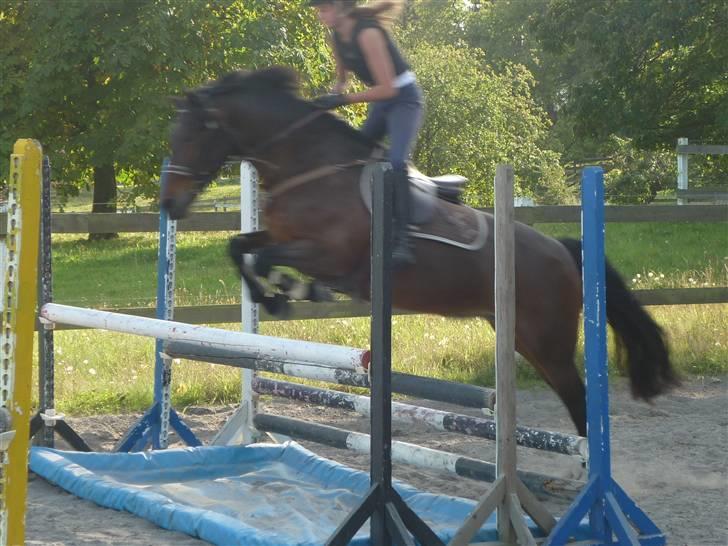 Springundervisning på Gøngehusfarmen d. 17/9 2009 billede 38