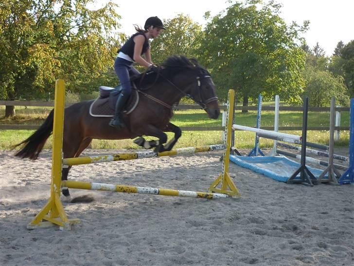 Springundervisning på Gøngehusfarmen d. 17/9 2009 billede 39