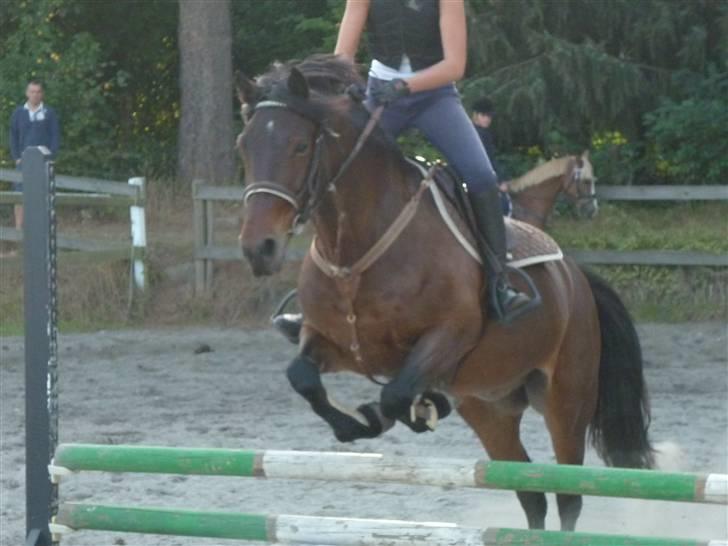 Springundervisning på Gøngehusfarmen d. 17/9 2009 billede 40