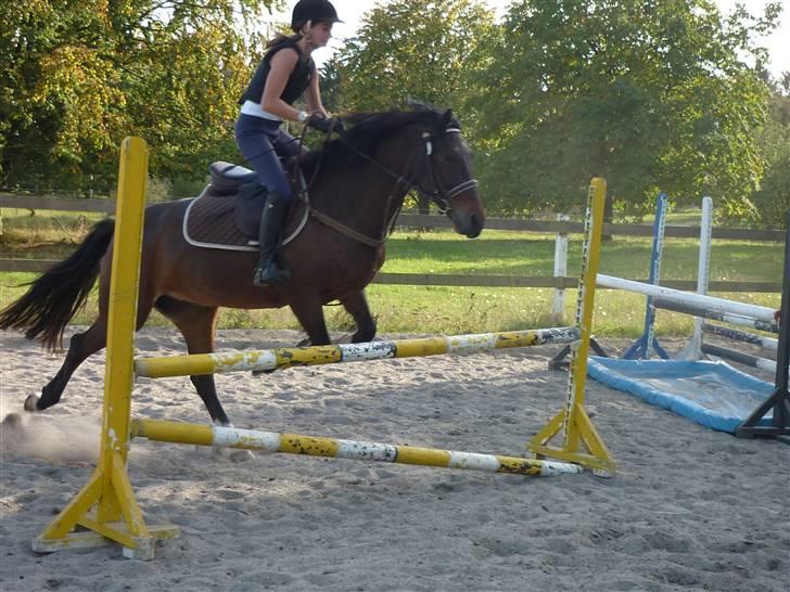 Springundervisning på Gøngehusfarmen d. 17/9 2009 billede 41