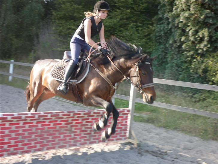 Springundervisning på Gøngehusfarmen d. 17/9 2009 billede 42