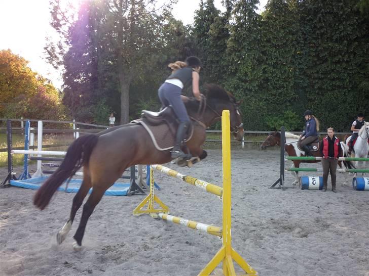 Springundervisning på Gøngehusfarmen d. 17/9 2009 billede 44