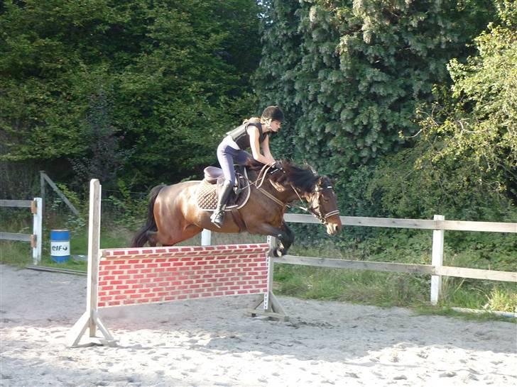 Springundervisning på Gøngehusfarmen d. 17/9 2009 billede 45