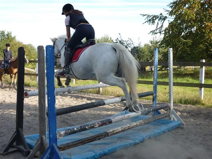 Springundervisning på Gøngehusfarmen d. 17/9 2009 billede 48