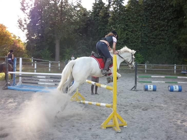 Springundervisning på Gøngehusfarmen d. 17/9 2009 billede 49