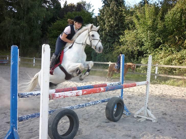 Springundervisning på Gøngehusfarmen d. 17/9 2009 billede 50