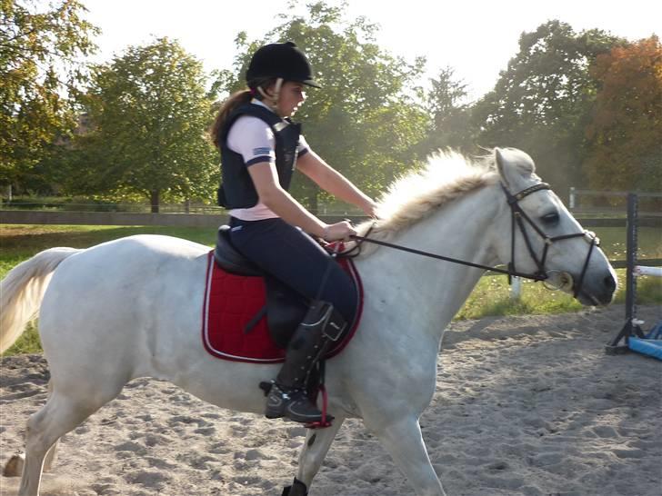 Springundervisning på Gøngehusfarmen d. 17/9 2009 billede 51