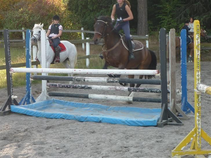 Springundervisning på Gøngehusfarmen d. 17/9 2009 billede 53