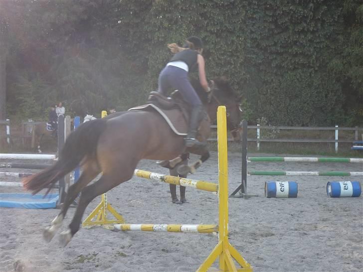 Springundervisning på Gøngehusfarmen d. 17/9 2009 billede 54