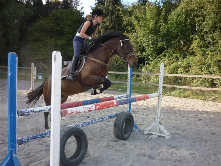 Springundervisning på Gøngehusfarmen d. 17/9 2009 billede 55