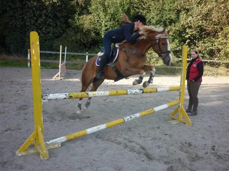 Springundervisning på Gøngehusfarmen d. 17/9 2009 billede 56