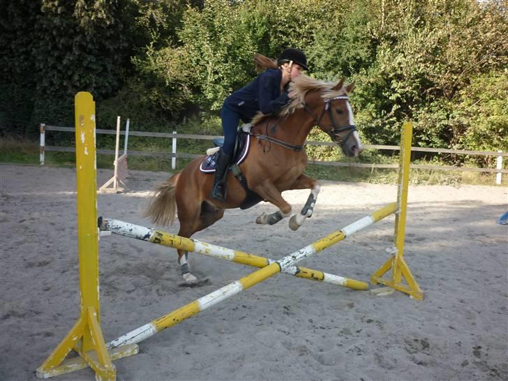 Springundervisning på Gøngehusfarmen d. 17/9 2009 billede 58