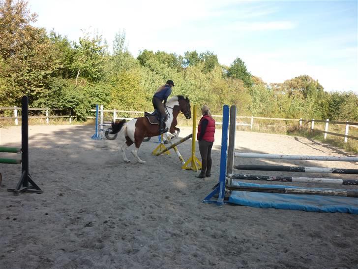 Springundervisning på Gøngehusfarmen d. 17/9 2009 billede 59