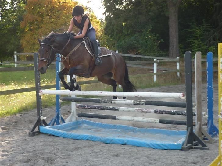 Springundervisning på Gøngehusfarmen d. 17/9 2009 billede 64