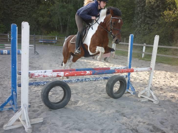 Springundervisning på Gøngehusfarmen d. 17/9 2009 billede 65