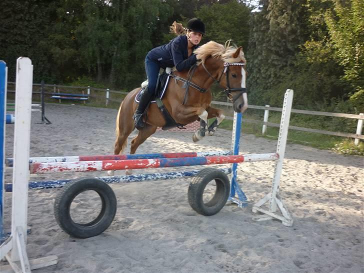 Springundervisning på Gøngehusfarmen d. 17/9 2009 billede 66