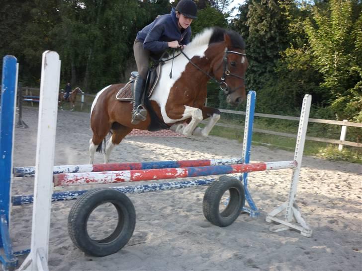 Springundervisning på Gøngehusfarmen d. 17/9 2009 billede 67