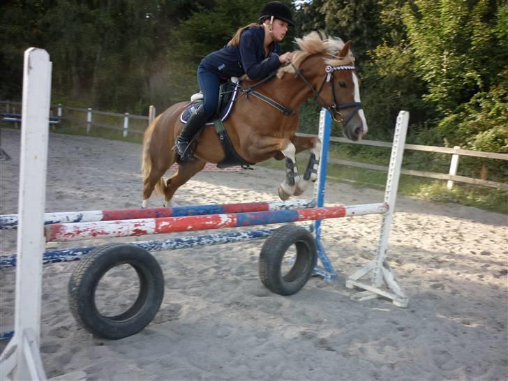 Springundervisning på Gøngehusfarmen d. 17/9 2009 billede 68