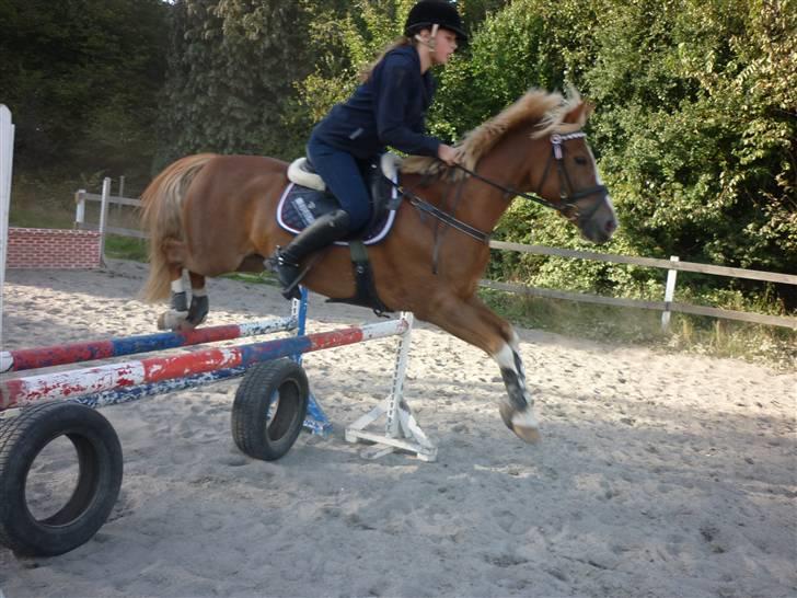 Springundervisning på Gøngehusfarmen d. 17/9 2009 billede 69