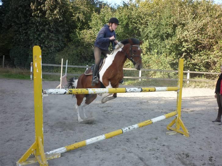 Springundervisning på Gøngehusfarmen d. 17/9 2009 billede 71