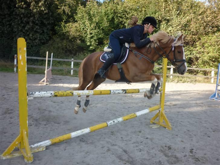 Springundervisning på Gøngehusfarmen d. 17/9 2009 billede 72