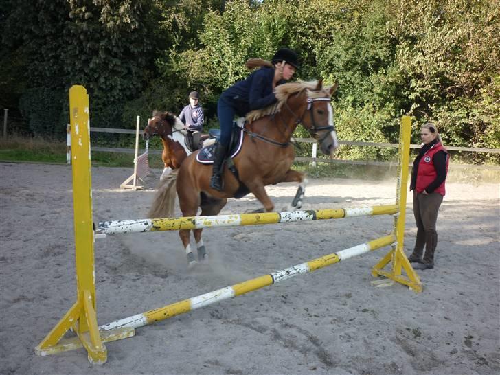 Springundervisning på Gøngehusfarmen d. 17/9 2009 billede 73