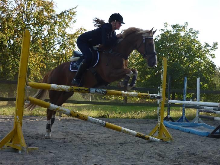 Springundervisning på Gøngehusfarmen d. 17/9 2009 billede 74