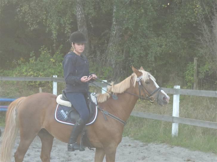 Springundervisning på Gøngehusfarmen d. 17/9 2009 billede 75