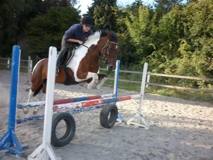 Springundervisning på Gøngehusfarmen d. 17/9 2009 billede 77