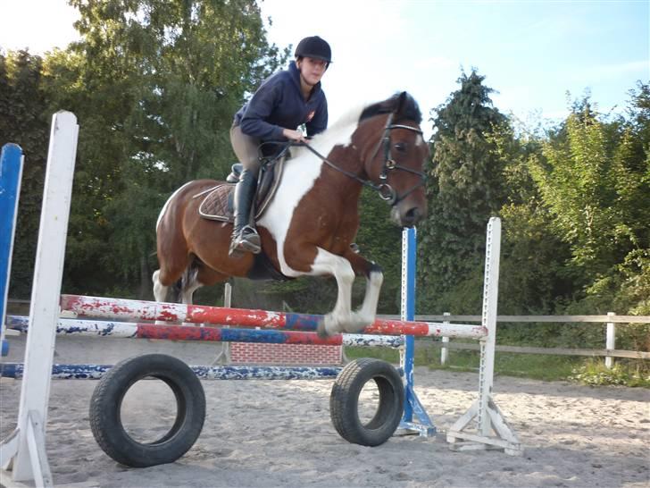 Springundervisning på Gøngehusfarmen d. 17/9 2009 billede 82