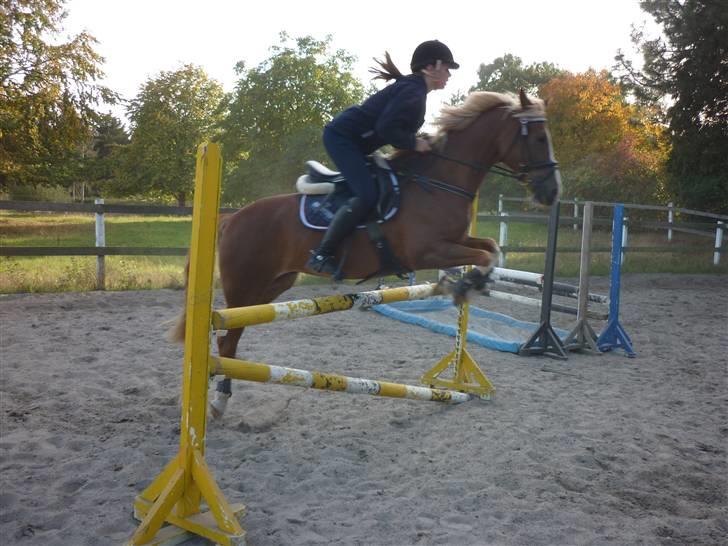 Springundervisning på Gøngehusfarmen d. 17/9 2009 billede 84