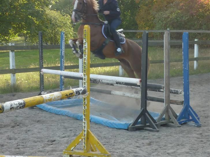 Springundervisning på Gøngehusfarmen d. 17/9 2009 billede 85