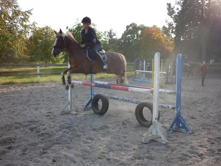 Springundervisning på Gøngehusfarmen d. 17/9 2009 billede 86